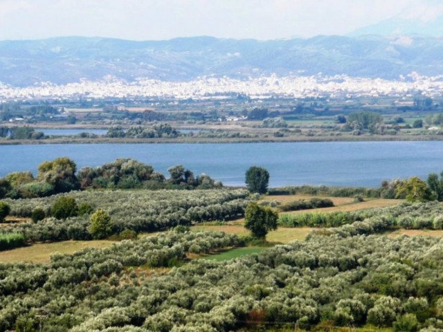 Μυστήριο με πτώμα άνδρα στη λίμνη Αγρινίου