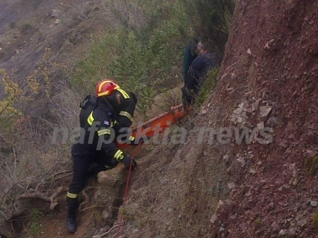 Έπεσε στο γκρεμό για να σώσει το κοπάδι του
