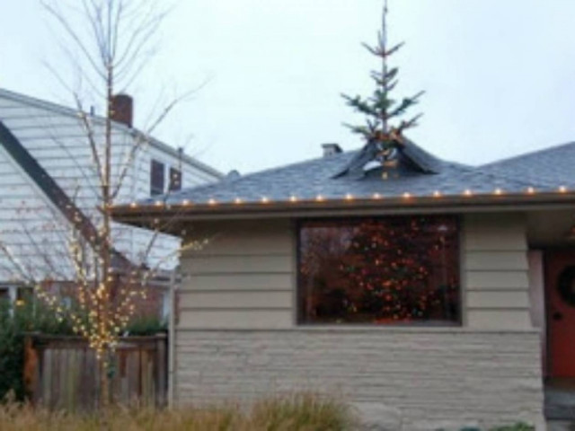 ΔΕΙΤΕ: Το πιο αποτυχημένο χριστουγεννιάτικο δέντρο στην ιστορία!