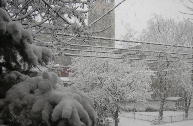 Τα Χριστούγεννα της ομογένειας στον Καναδά