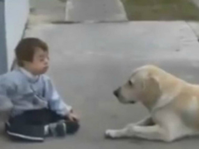 Το βίντεο που έχει συγκλονίσει τους χρήστες του διαδικτύου!