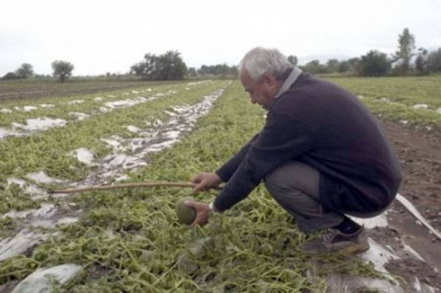 ΕΛΓΑ: Πληρωμή την Παρασκευή 5.000 δικαιούχων