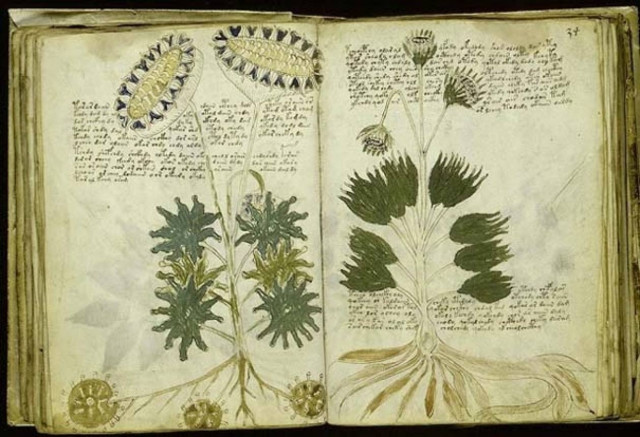 Οι 7 περίφημοι άλυτοι κώδικες