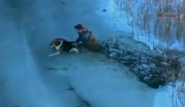 ΒΙΝΤΕΟ: Δείτε πως διεσώθη ο σκύλος!