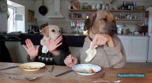 Αυτό το βίντεο θα σας φτιάξει σίγουρα τη διάθεση!