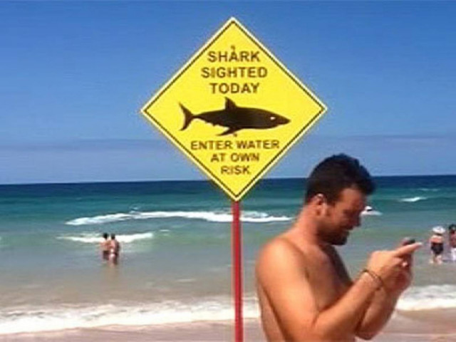 Βίντεο: Σε συναγερμό το Σίδνεϊ από τις εμφανίσεις καρχαριών