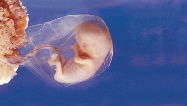 Απίστευτο! Τα μωρά μαθαίνουν τη μητρική γλώσσα προτού γεννηθούν!