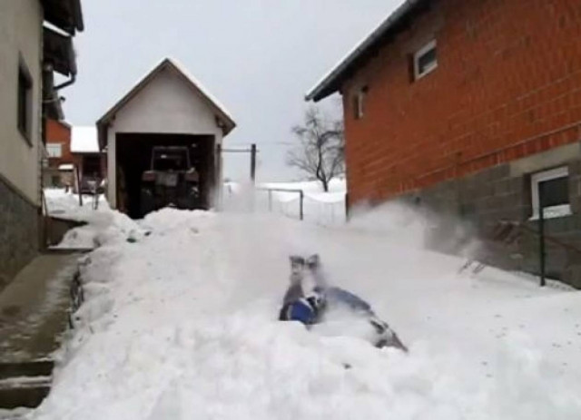 Βίντεο: Κολυμπώντας στο χιόνι