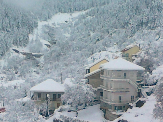 Το ΣΔΟΕ κάνει επιδρομή... στα ορεινά της Ηπείρου!