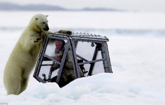 Bίντεο: Βρέθηκε αντιμέτωπος με μία πεινασμένη πολική αρκούδα!