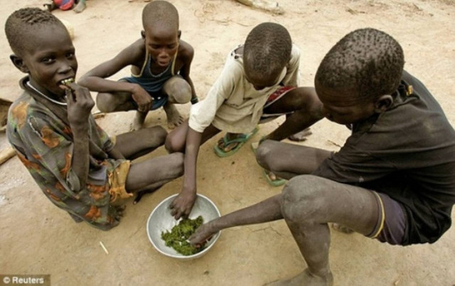 Σοκ-Τρώνε φλοιούς δέντρων και φύλλα για να επιβιώσουν