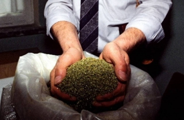 Αλβανία: Κατασχέθηκε μαριχουάνα που είχε προορισμό την Ελλάδα