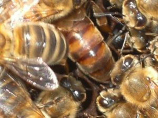 Έκαναν έφοδο σπίτι του και δεν πίστευαν αυτό που έβλεπαν