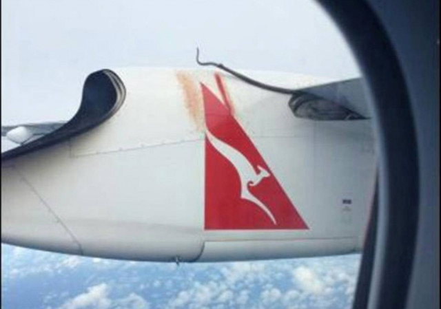 Βίντεο: Πύθωνας ταξίδευε στο φτερό επιβατικού αεροπλάνου