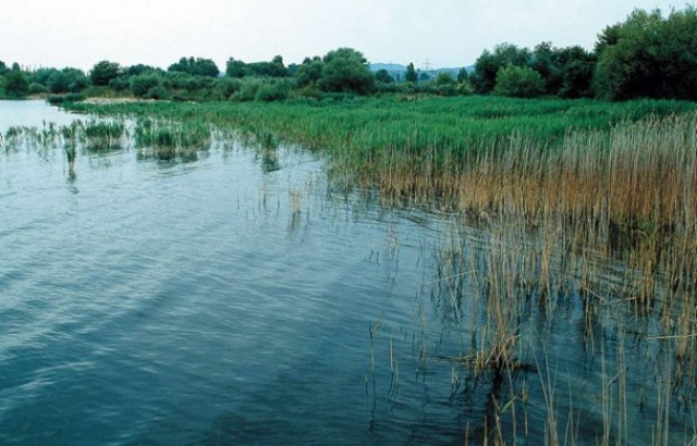 ΦΡΙΚΗ-Τη σκότωσε και την πέταξε στους βάλτους