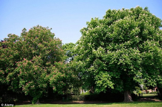 ΣΟΚ: Πέταξαν οξύ στο πρόσωπο έφηβου σε πάρκο