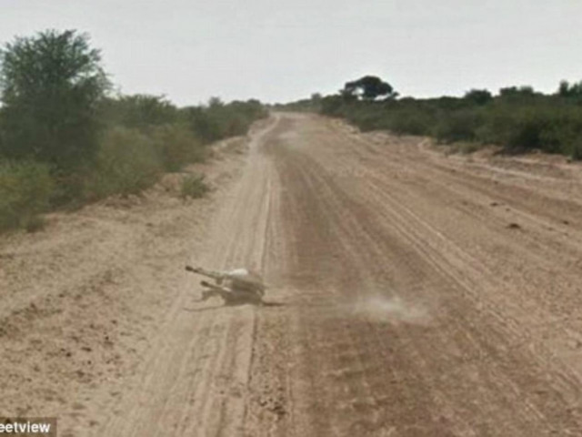 Αυτοκίνητο της Google παρέσυρε και σκότωσε γάιδαρο; (pics)