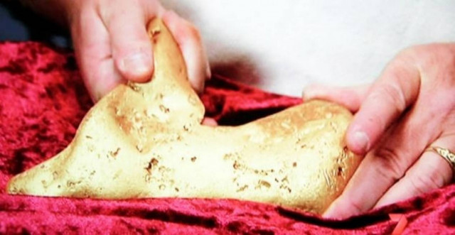 Βίντεο: Δείτε τι βρήκε σε έναν θάμνο και έγινε πλούσιος!