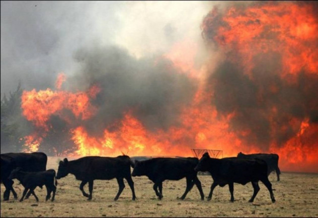 Παραμένει στο έλεος των πυρκαγιών η Αυστραλία