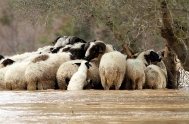 Εικόνες βιβλικής καταστροφής στην Ηλεία