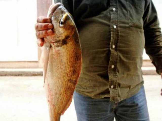 Αχαϊα: Πέταξε τσιπούρα στο κεφάλι δημοτικού υπαλλήλου!