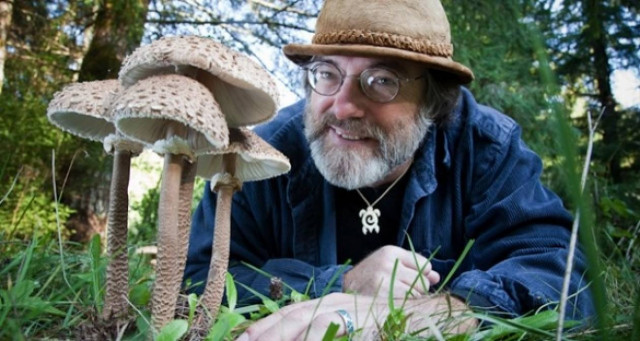 Πώς τα μανιτάρια θα λύσουν τα μεγαλύτερα… προβλήματα του πλανήτη