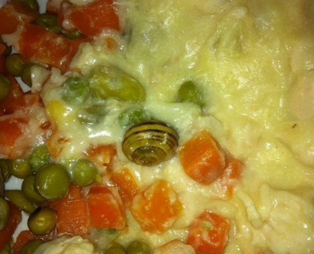 Απίστευτο: Δείτε τι βρήκε όταν έτρωγε το φαγητό της στο μαιευτήριο!