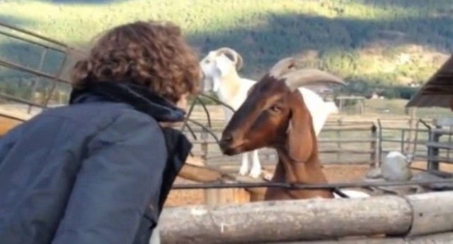 Βίντεο: Δείτε τι θα τους χαλάσει το «φλερτ»!