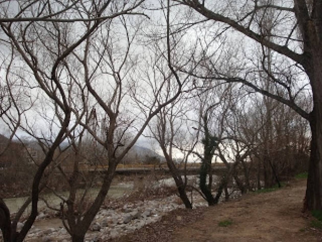 Επιδρομές στα πάρκα της Ξάνθης για καυσόξυλα