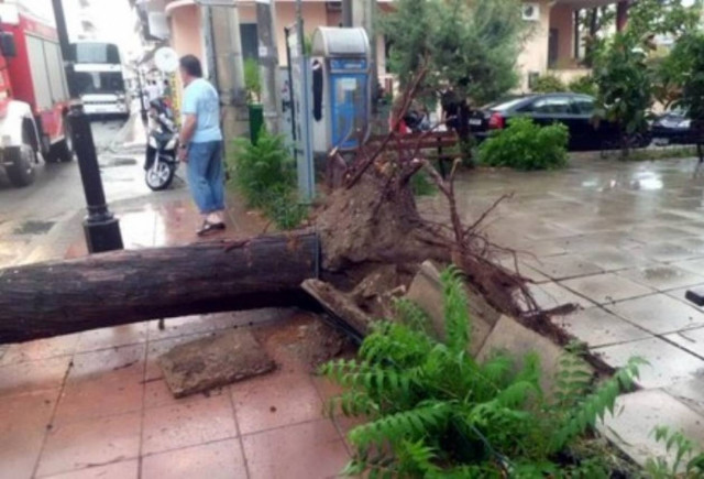 Ξεριζώθηκαν δέντρα από την κακοκαιρία στην Αττική