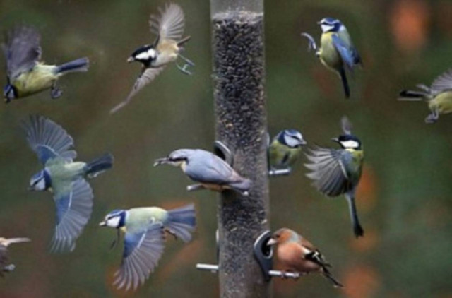 Δείτε το φωτογραφικό «κολάζ» που κάνει τον γύρο των social media!