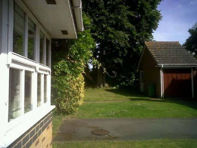 Μπορείτε να εντοπίσετε τον γάτο;