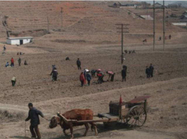Γονείς τρώνε τα παιδιά τους για να επιβιώσουν από λιμό