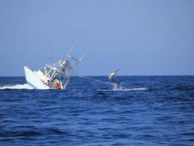 Ψάρι VS Σκάφος: Μια... άνιση μάχη! (pics)