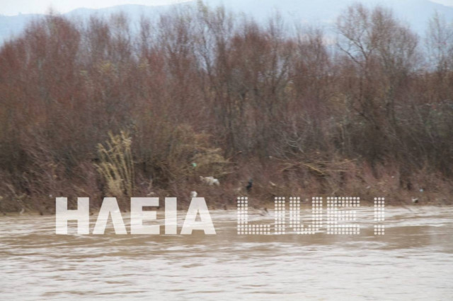 Περιβαλλοντική καταστροφή στην Ηλεία