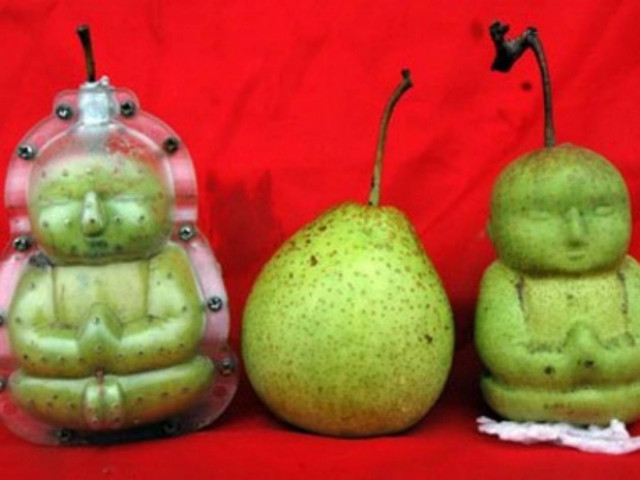 Αχλάδια με …ανθρώπινη μορφή! (pics)