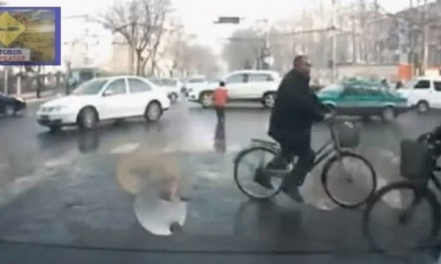 Περνάει ανάμεσα από τα αυτοκίνητα για παιχνίδι και σώθηκε!