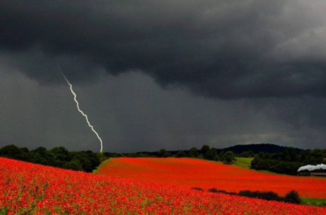 Φωτογράφος κέρδισε βραβείο την ημέρα της κηδείας του