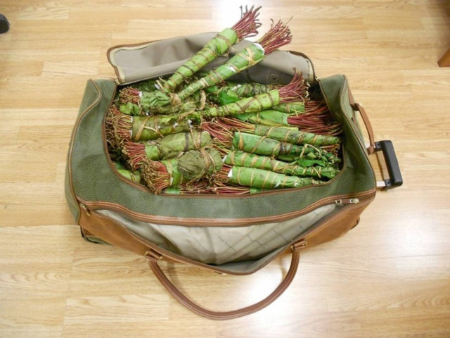 Τον «τσάκωσαν» στο Ελ. Βενιζέλος με ναρκωτικά στις αποσκευές του