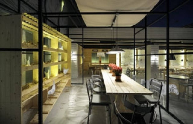 Κομοτηνή: Μια φάρμα που εντυπωσιάζει