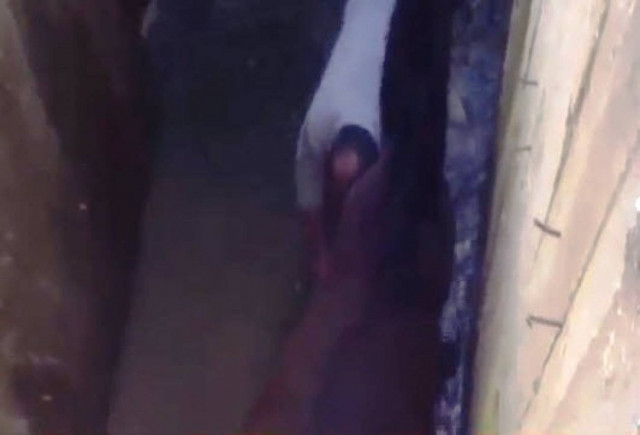 Βίντεο: Επιχείρηση σωτηρίας αλόγου από αρδευτική διώρυγα