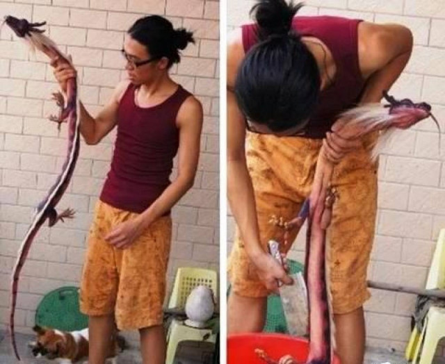 Απίστευτο: Βρήκε έναν δράκο στην αυλή του!