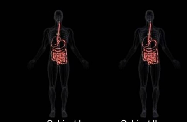 ΑΠΙΣΤΕΥΤΟ ΒΙΝΤΕΟ: Τι συμβαίνει στο σώμα μας όταν τρώμε