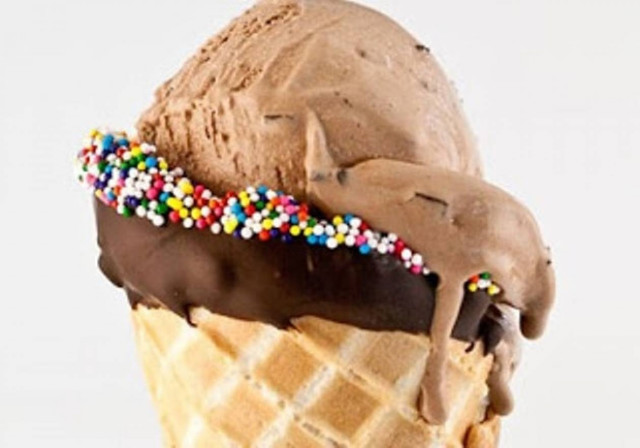 Δείτε τι συνέβη σε Ιάπωνα που ζήτησε παγωτό στην Κωνσταντινούπολη