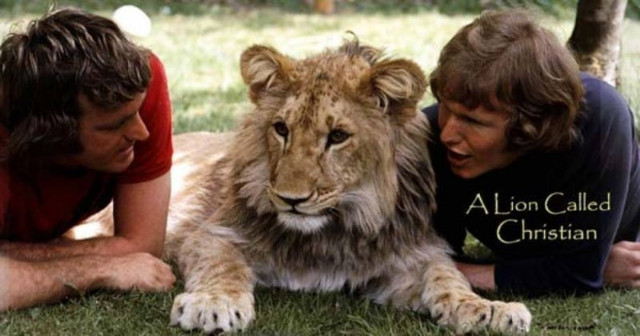 Το βίντεο που έκανε πάνω από 50.000.000 ανθρώπους να δακρύσουν!