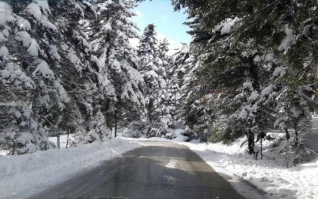 Λαμία: Επί ποδός οι Αρχές λόγω κακοκαιρίας