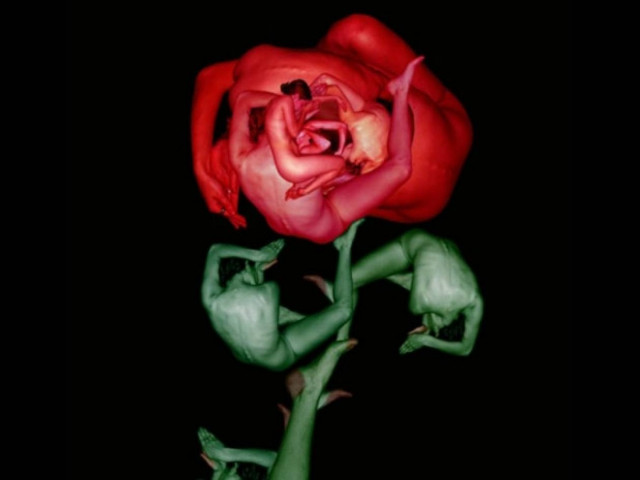 Εσείς τι βλέπετε σε αυτές τις φωτογραφίες;