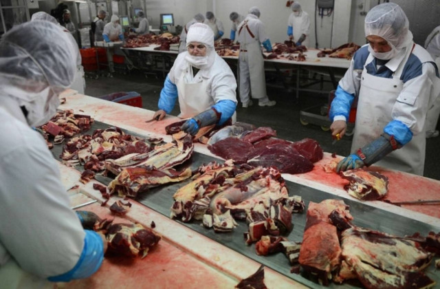 ΕΕ: Να κάνουν όλες οι χώρες ελέγχους για DNA αλόγου