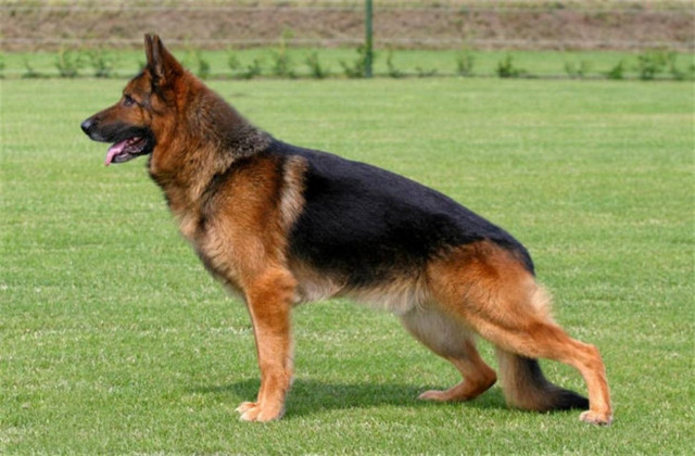 Ασυνείδητοι σκόρπισαν «φόλες» στα βουνά του Θερίσου