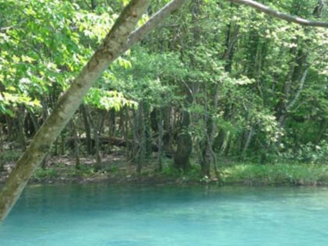 Ραντεβού με το θάνατο: Πήγε για ψάρεμα και τον χτύπησε το ρεύμα